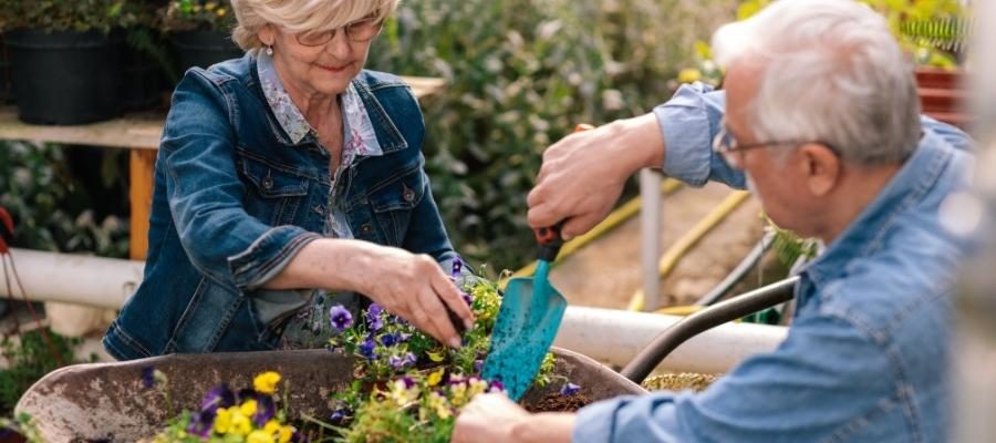 7 Strategies for Adapting Hobbies for Aging Well